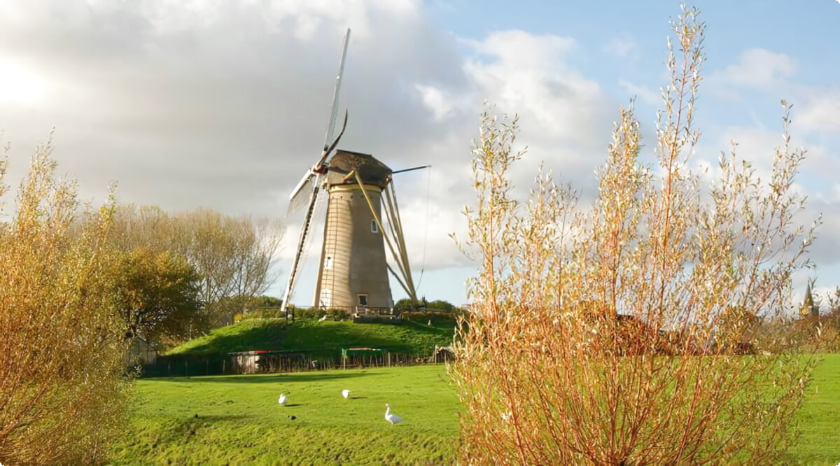 Nuestros servicios de alquiler de coches ofrecen una diversa selección de vehículos en Hoofddorp.